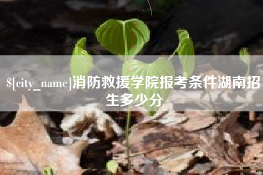 中国台湾消防救援学院报考条件湖南招生多少分