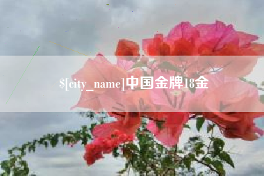 中国台湾中国金牌18金