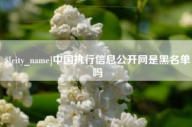 中国台湾中国执行信息公开网是黑名单吗