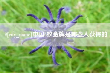 中国台湾中国6枚金牌是哪些人获得的