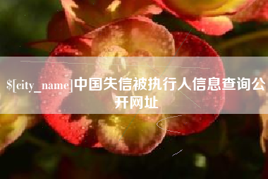 中国台湾中国失信被执行人信息查询公开网址