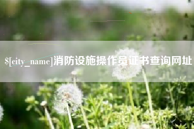 中国台湾消防设施操作员证书查询网址