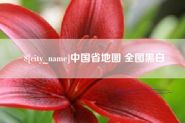 中国台湾中国省地图 全图黑白
