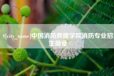 中国台湾中国消防救援学院消防专业招生简章