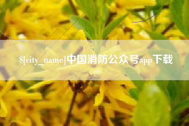 中国台湾中国消防公众号app下载