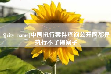 中国台湾中国执行案件查询公开网都是执行不了得案子