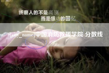 中国台湾中国消防救援学院 分数线