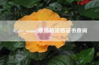 中国台湾查消防资格证书查询