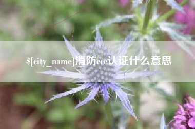 中国台湾消防ccc认证什么意思