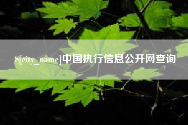 中国台湾中国执行信息公开网查询