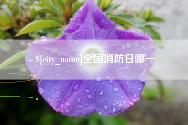 中国台湾全国消防日哪一