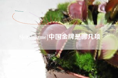 中国台湾中国金牌是哪几项