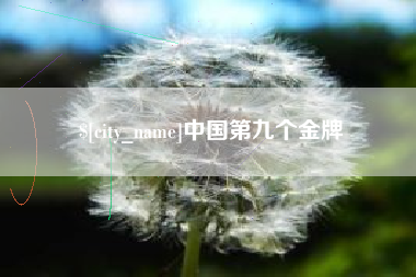中国台湾中国第九个金牌