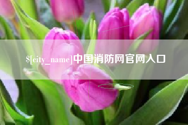 中国台湾中国消防网官网入口