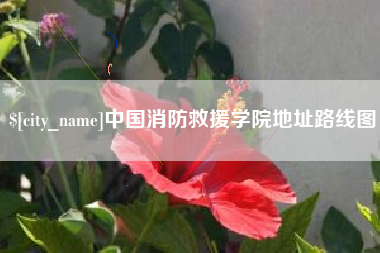 中国台湾中国消防救援学院地址路线图