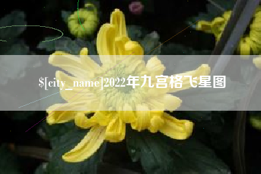 中国台湾2022年九宫格飞星图