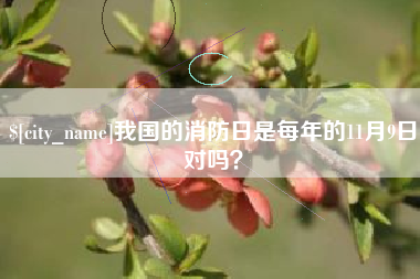 中国台湾我国的消防日是每年的11月9日对吗？