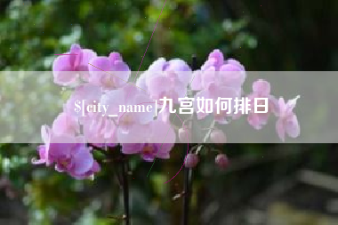 中国台湾九宫如何排日