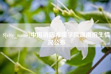 中国台湾中国消防救援学院湖南招生情况公布