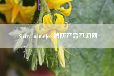 中国台湾ccc消防产品查询网