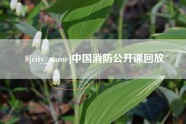中国台湾中国消防公开课回放
