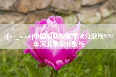 中国台湾中国消防救援学院分数线2023年河北录取分数线