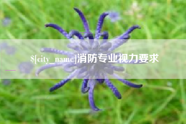 中国台湾消防专业视力要求