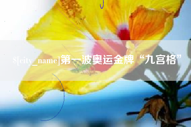 中国台湾第一波奥运金牌“九宫格”