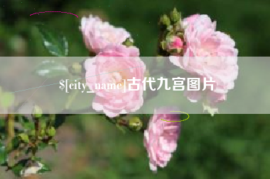 中国台湾古代九宫图片