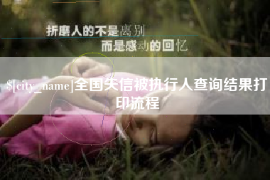 中国台湾全国失信被执行人查询结果打印流程
