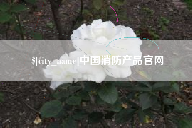 中国台湾中国消防产品官网