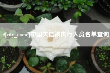 中国台湾中国失信被执行人员名单查询