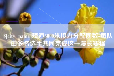 中国台湾短道5000米接力分配圈数-每队由多名选手共同完成这一漫长赛程