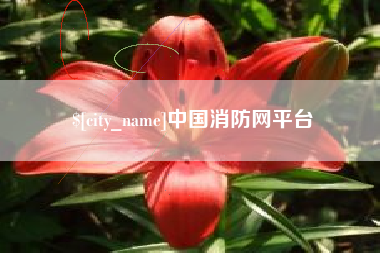 中国台湾中国消防网平台