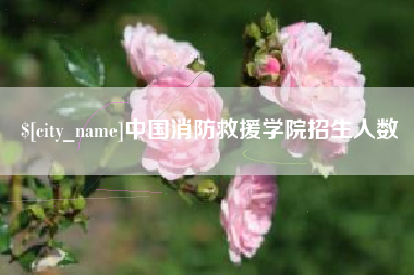 中国台湾中国消防救援学院招生人数