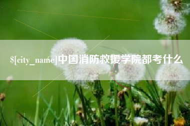 中国台湾中国消防救援学院都考什么