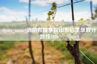 中国台湾消防救援学院山东招生录取分数线2020