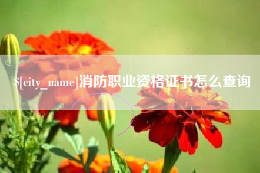 中国台湾消防职业资格证书怎么查询