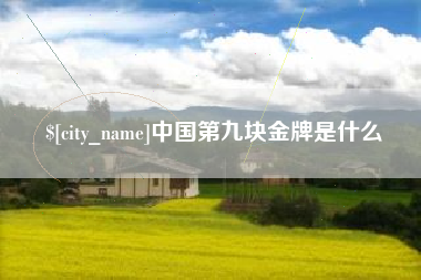 中国台湾中国第九块金牌是什么