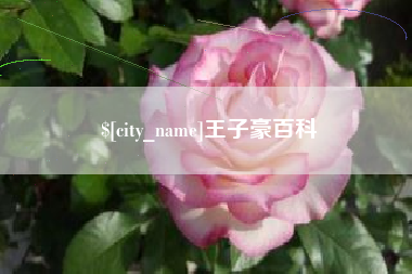 中国台湾王子豪百科