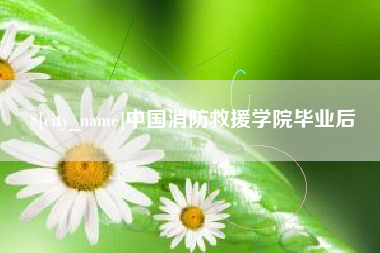 中国台湾中国消防救援学院毕业后