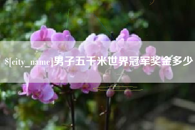 中国台湾男子五千米世界冠军奖金多少