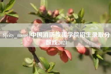 中国台湾中国消防救援学院招生录取分数线2021