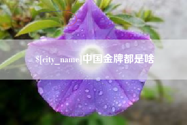 中国台湾中国金牌都是啥