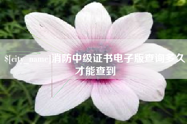 中国台湾消防中级证书电子版查询多久才能查到