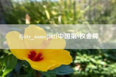 中国台湾2021中国第9枚金牌