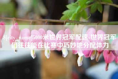 中国台湾5000米世界冠军配速-世界冠军们往往能在比赛中巧妙地分配体力