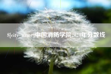 中国台湾中国消防学院2024年分数线