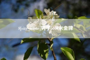 中国台湾男子5000米金牌