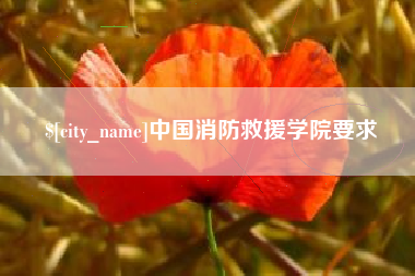 中国台湾中国消防救援学院要求